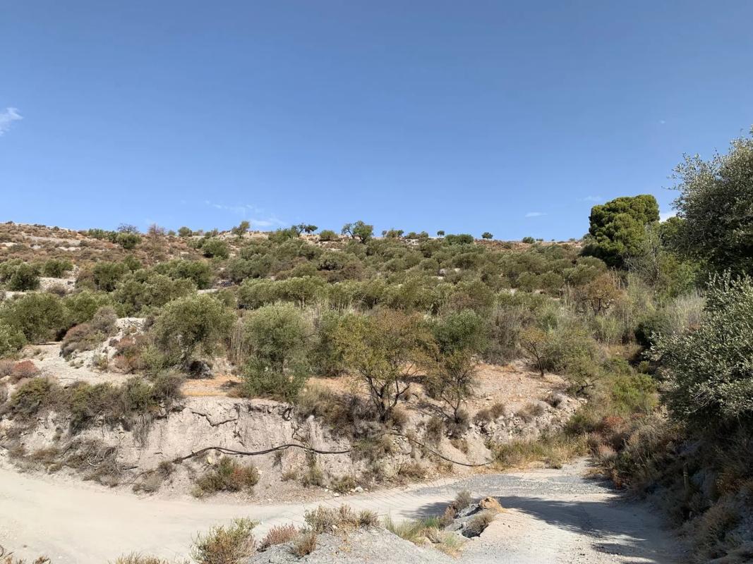 Terreno en venta en Felix, Almería photo 1