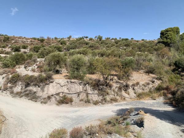 Terreno en rambla Mena, km 0 photo 2