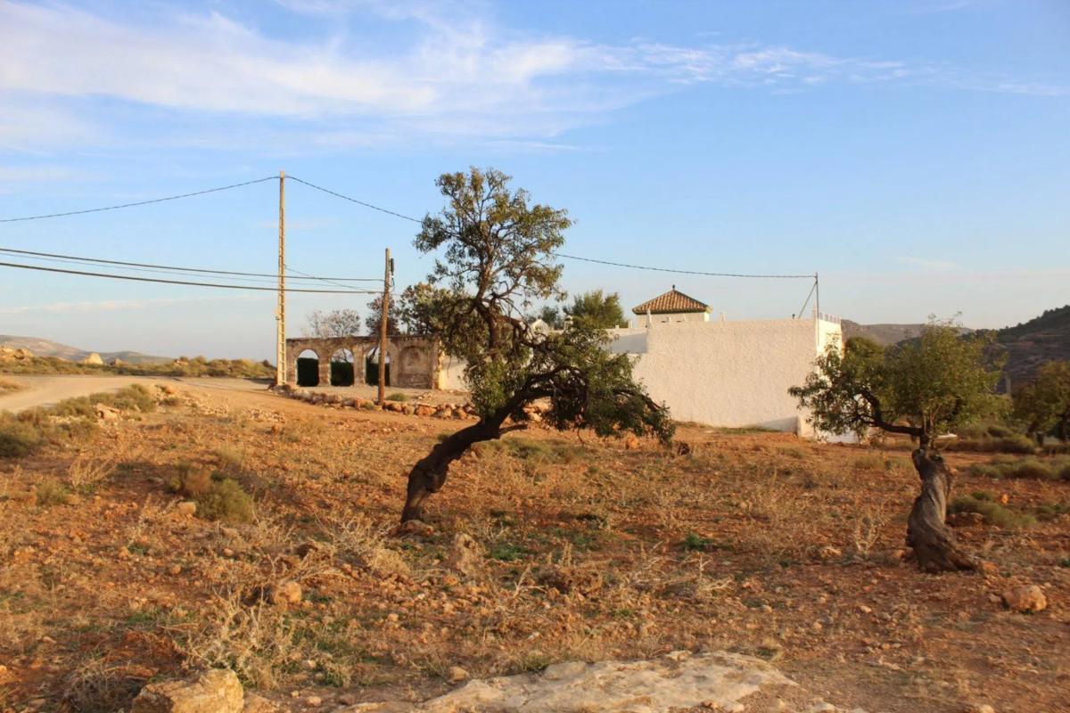 Terreno en venta en Felix, Almería photo 3