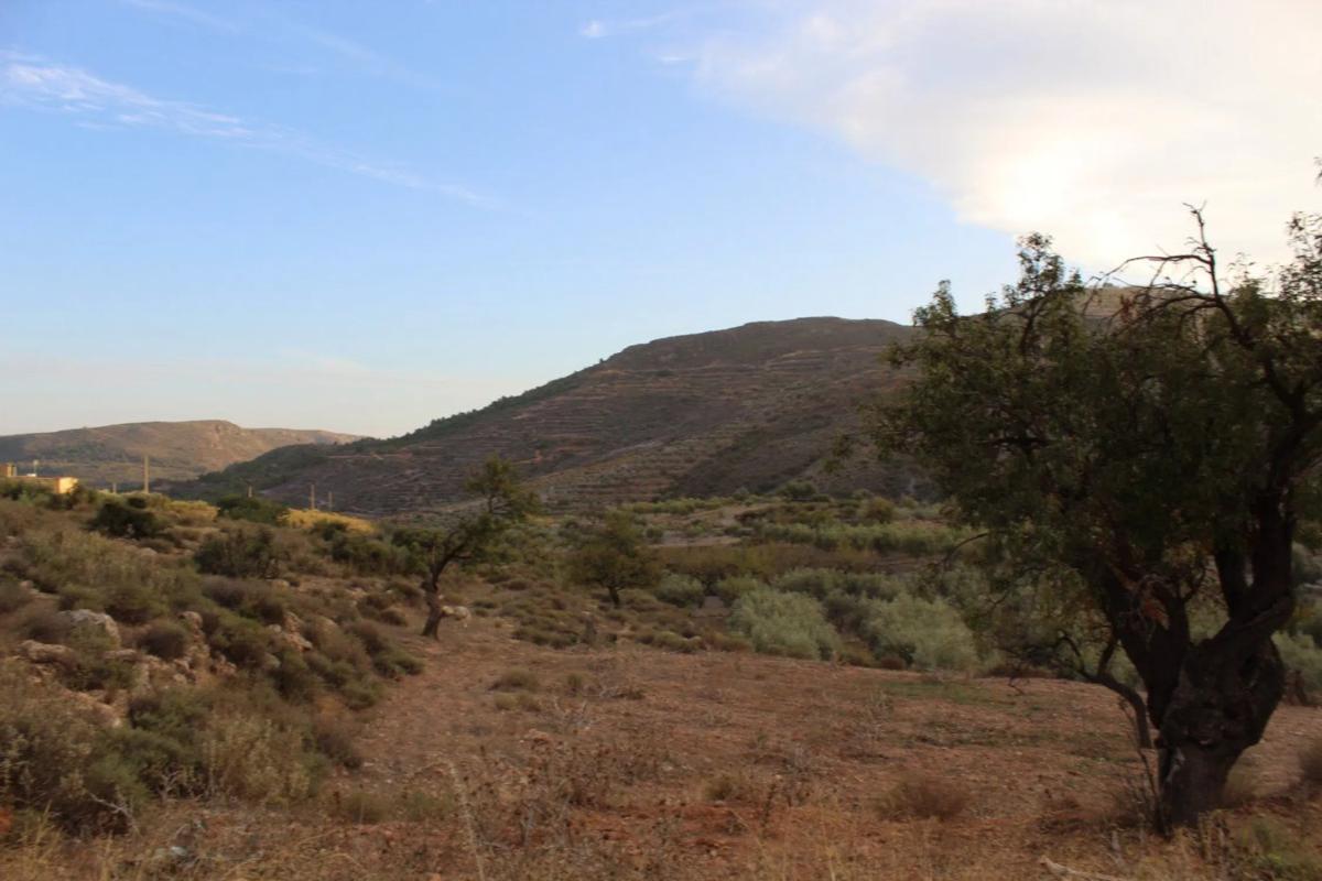 Terreno en venta en Felix, Almería photo 5