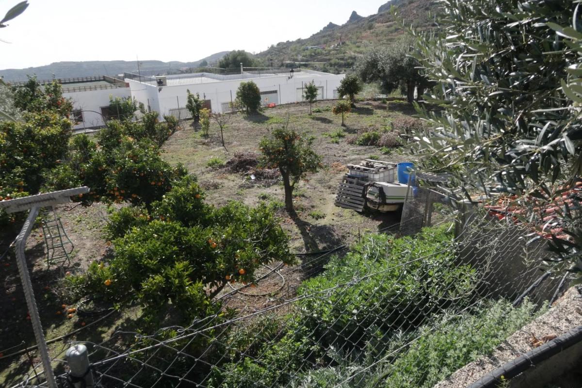 Land for sale in Felix, Almería photo 1
