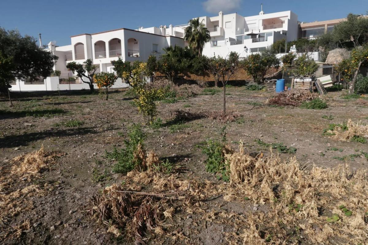 Land for sale in Felix, Almería photo 2