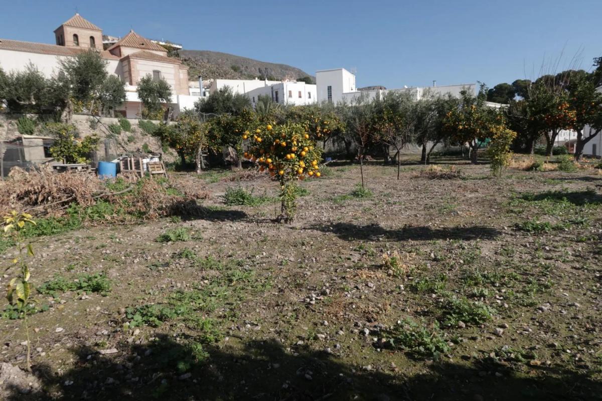 Land for sale in Felix, Almería photo 5