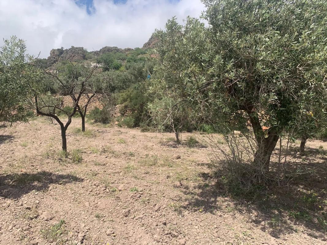 Terreno en venta en Felix, Almería photo 1