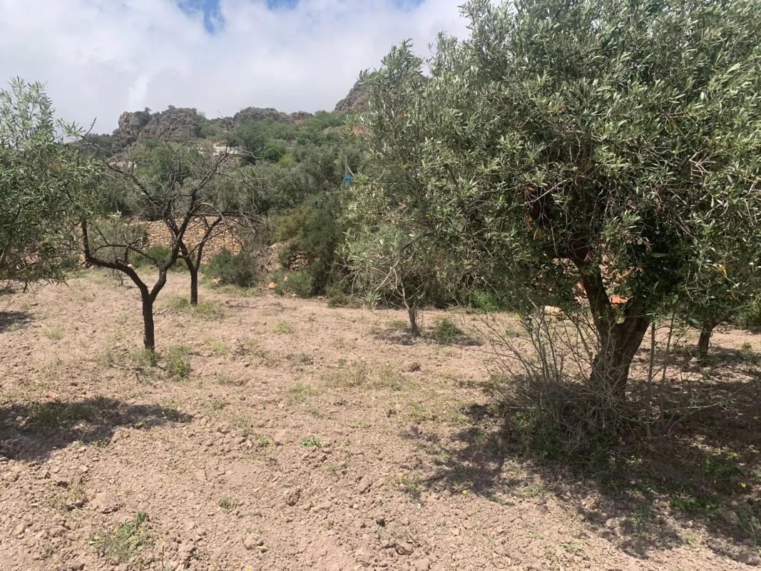 Terreno en venta en Felix, Almería photo 3