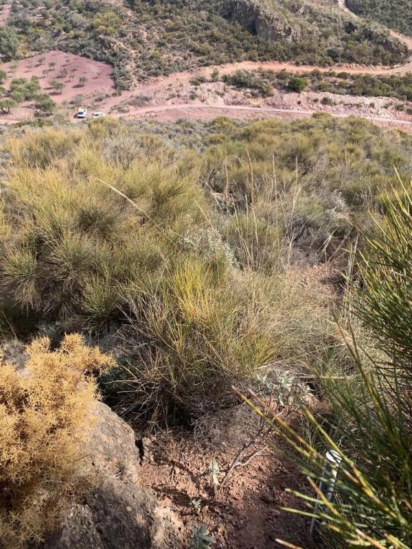 Terreno en venta en Felix, Almería photo 1