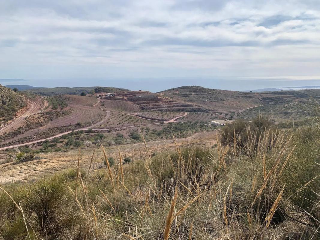 Terreno en venta en Felix, Almería photo 4