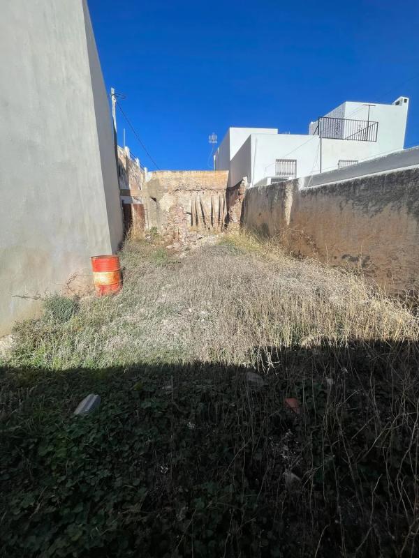 Land for sale in Felix, Almería photo 4