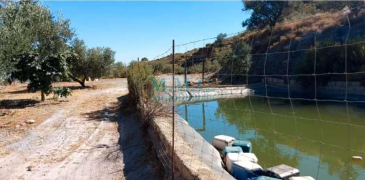 Land for sale in Felix, Almería photo 2