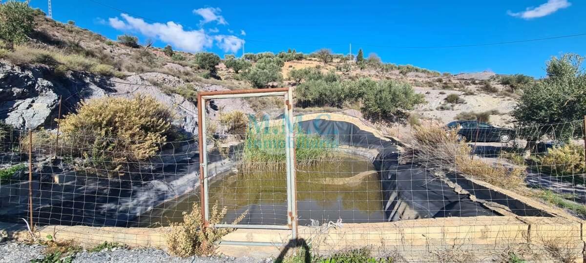 Land for sale in Felix, Almería photo 3