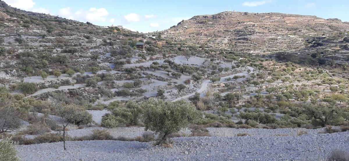 Terreno en venta en Felix, Almería photo 1