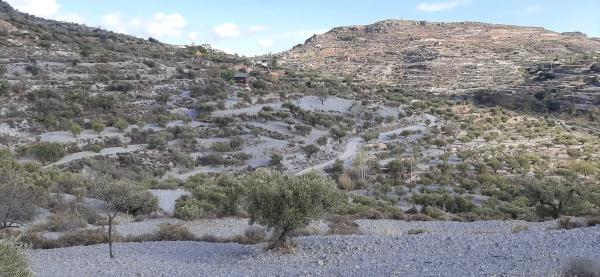 Terreno en calle pista forestal felix, km 2 photo 1