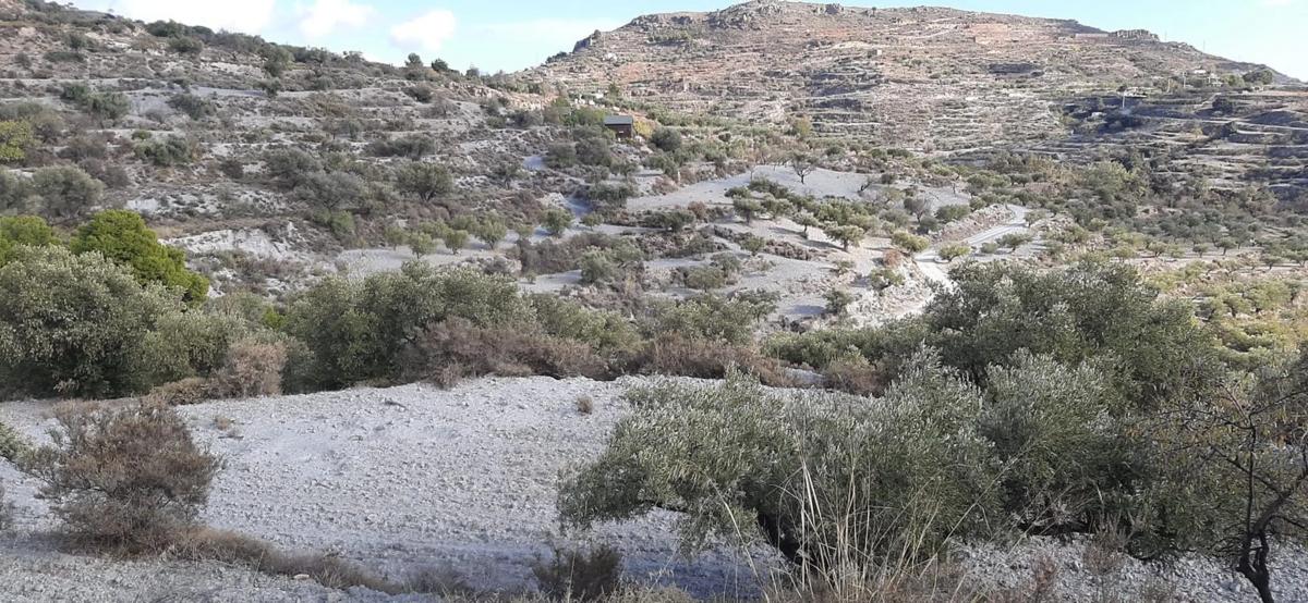 Terreno en venta en Felix, Almería photo 2