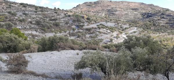 Terreno en calle pista forestal felix, km 2 thumbnail 1