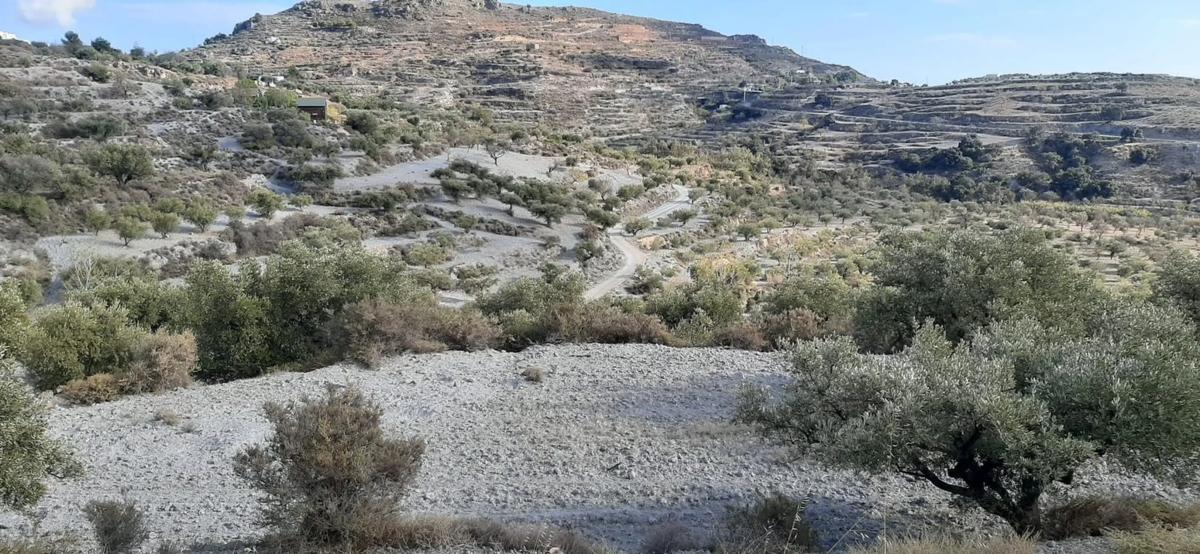 Terreno en venta en Felix, Almería photo 5