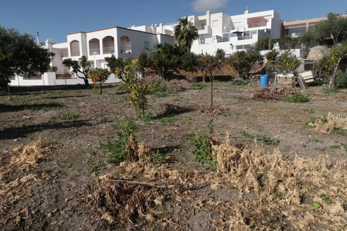 Terreno en venta en Felix, Almería photo 5