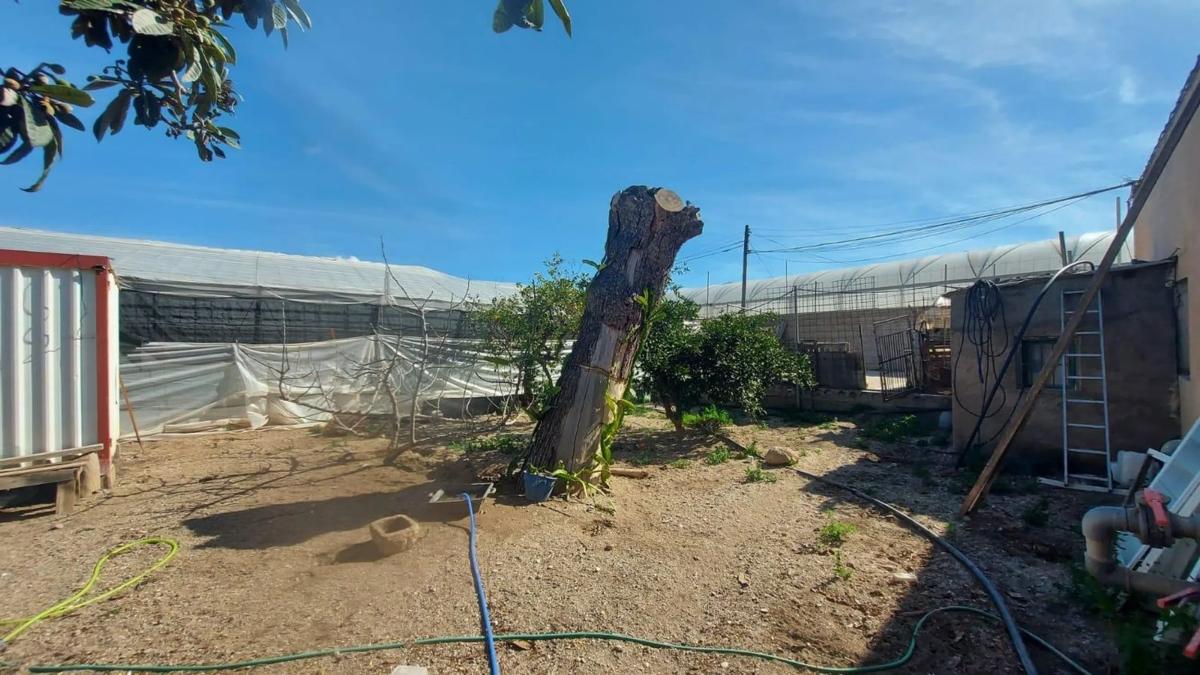 Terreno en venta en La Mojonera, Almería photo 5