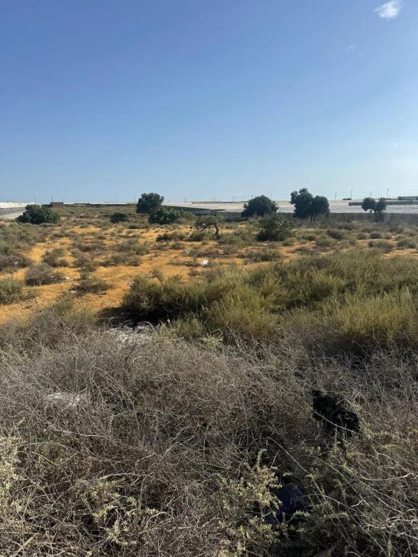 Terreno en venta en Roquetas de Mar, Almería photo 2