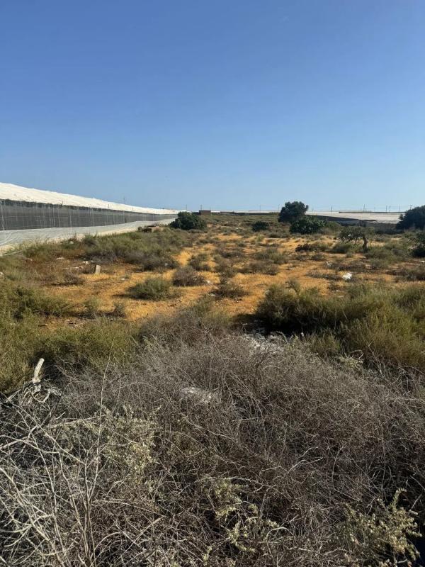 Terreno en venta en Roquetas de Mar, Almería photo 3
