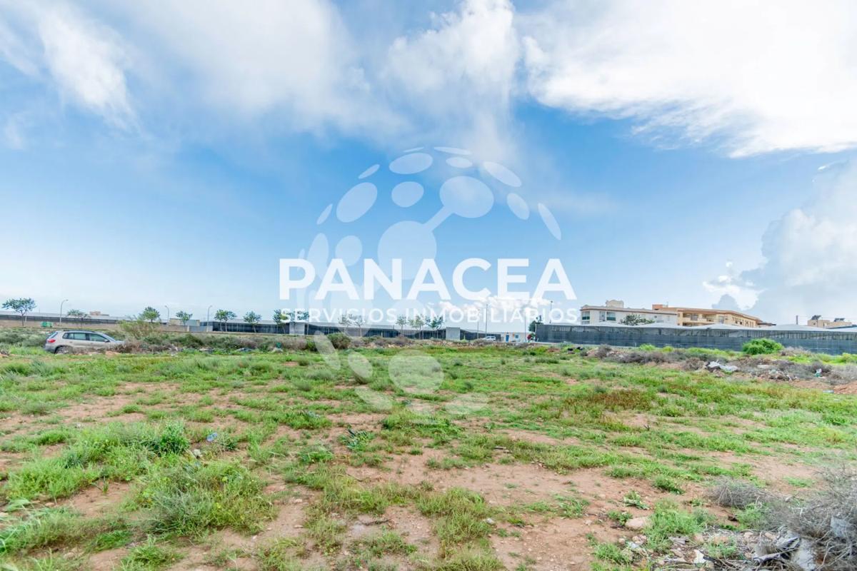 Terreno en venta en Roquetas de Mar, Almería photo 3