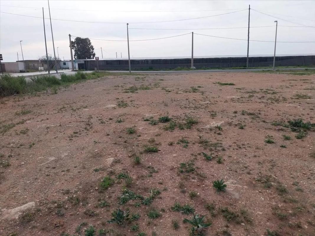 Land for sale in Roquetas de Mar, Almería photo 4