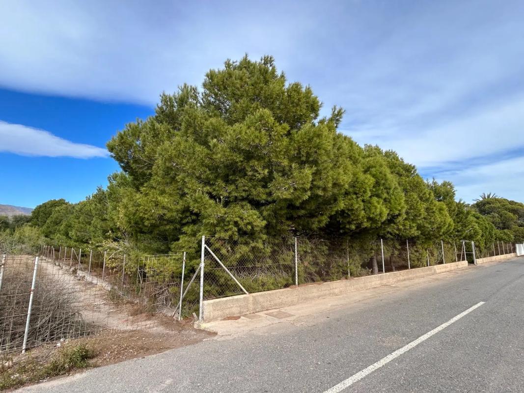 Terreno en venta en Roquetas de Mar, Almería photo 4