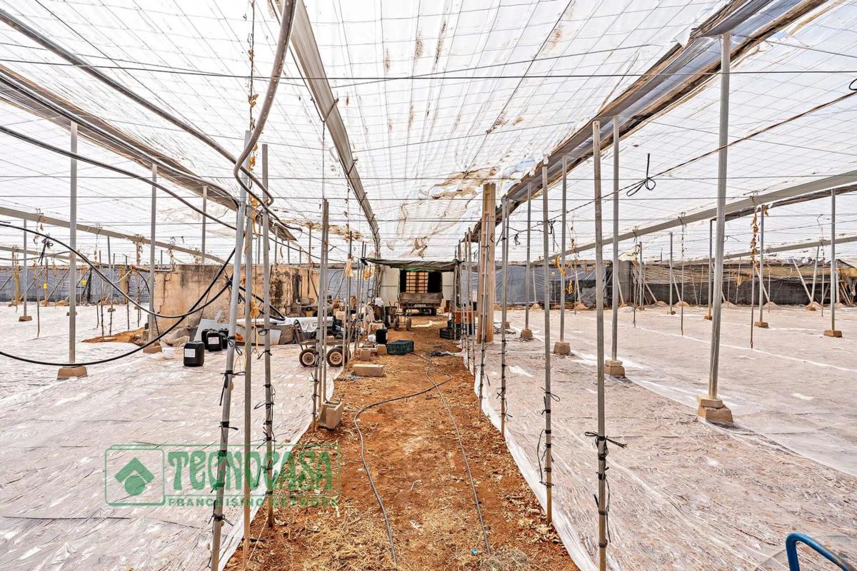 Участок земли на продажу в Викар, Алмерия photo 5