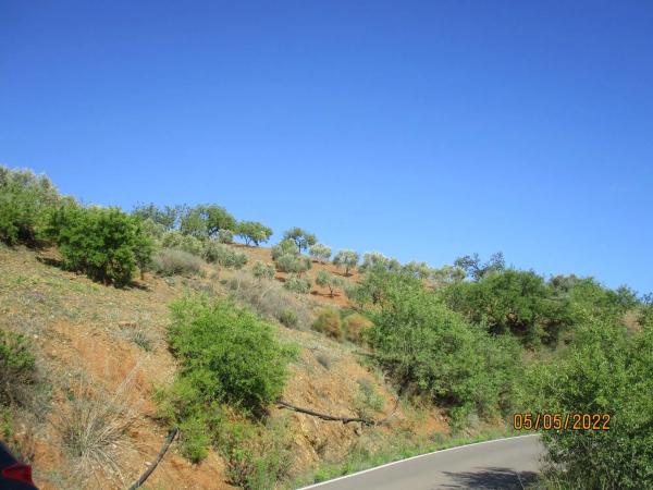 Terreno en calle de las Higueras, 13 thumbnail 1