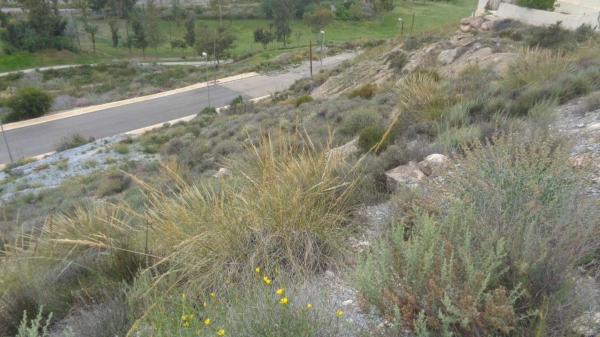 Terreno en calle los Jarales thumbnail 2
