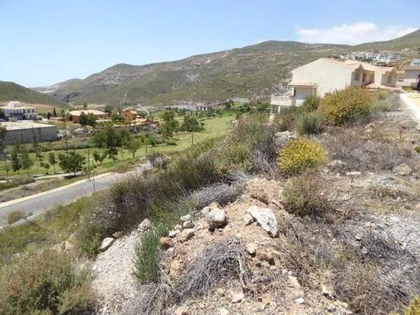 Terreno en calle los Jarales photo 4