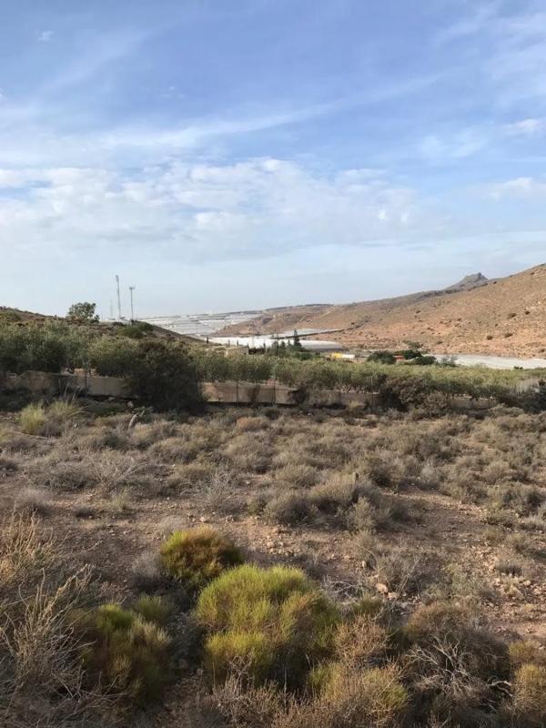 Działka na sprzedaż w Wikar, Almería photo 2