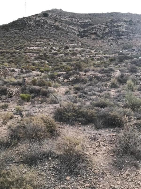 Działka na sprzedaż w Wikar, Almería photo 3