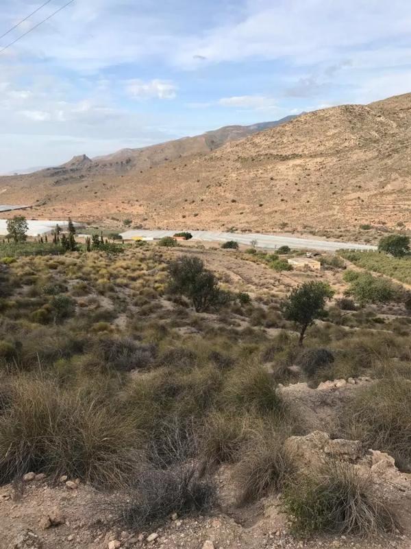 Działka na sprzedaż w Wikar, Almería photo 4