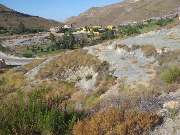 Terreno en calle los Jarales photo 2