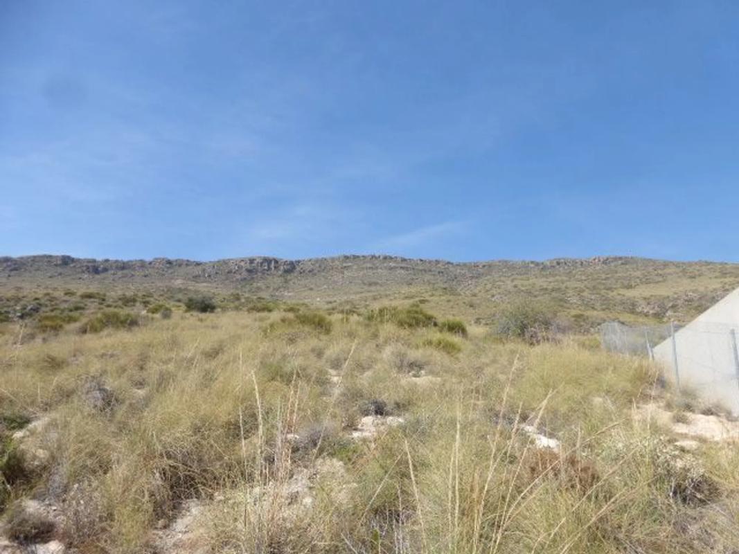 Działka na sprzedaż w Wikar, Almería photo 4