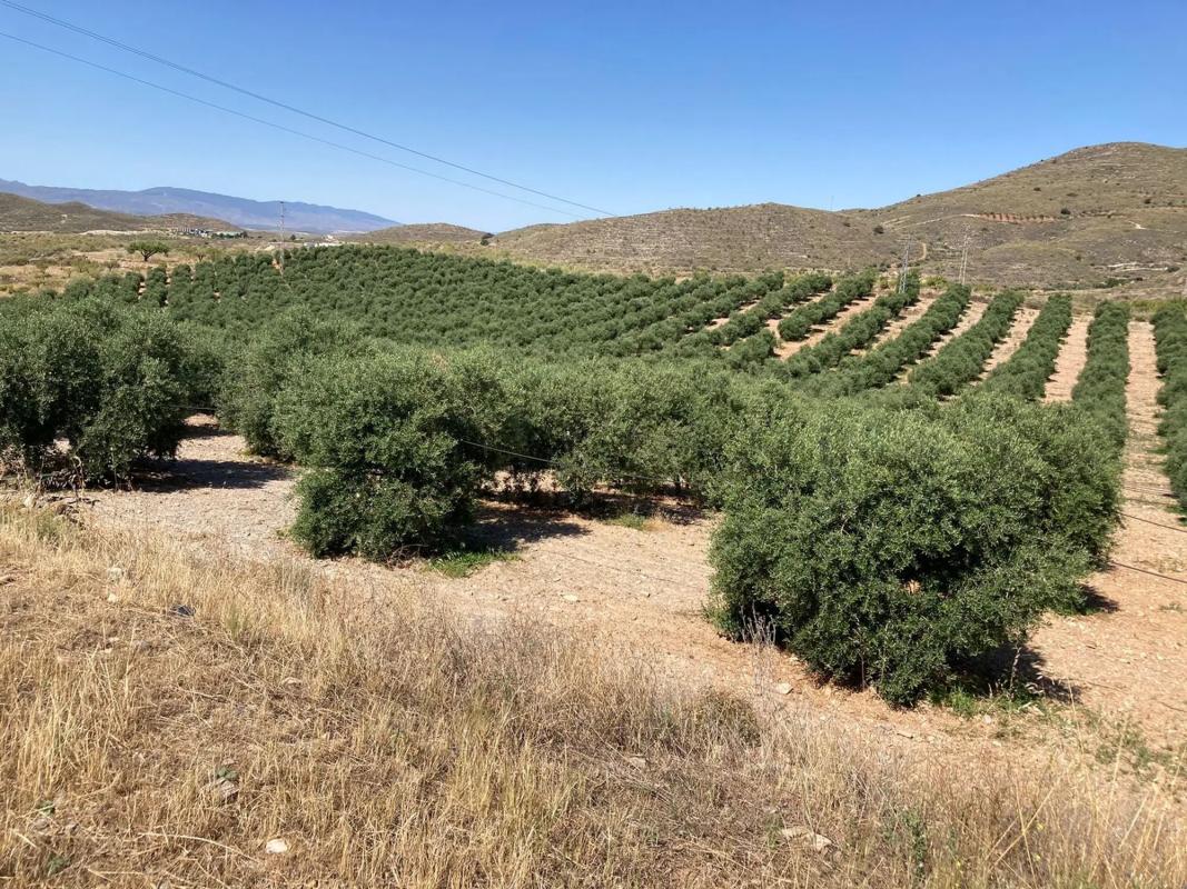 Terreno en venta en Oria, Almería photo 1