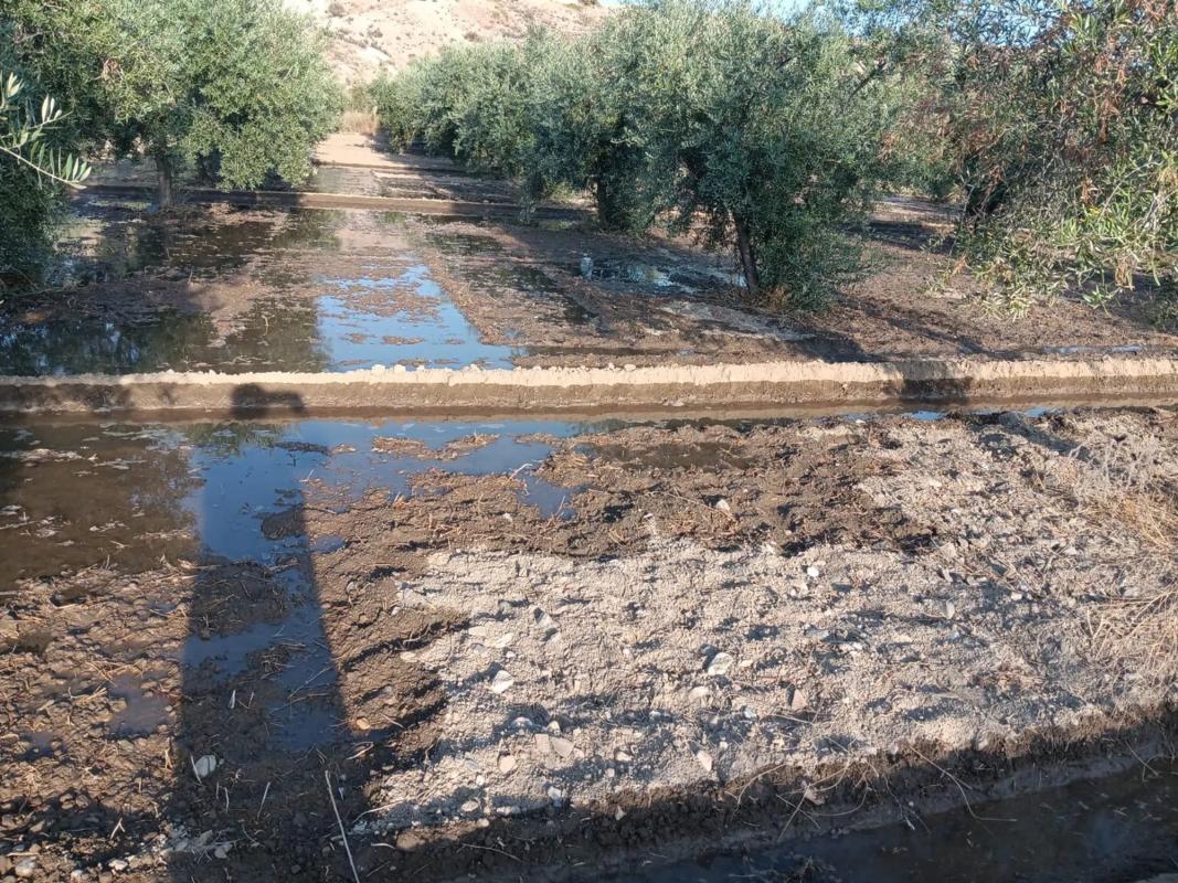 Terreno en venta en Albox, Almería photo 1