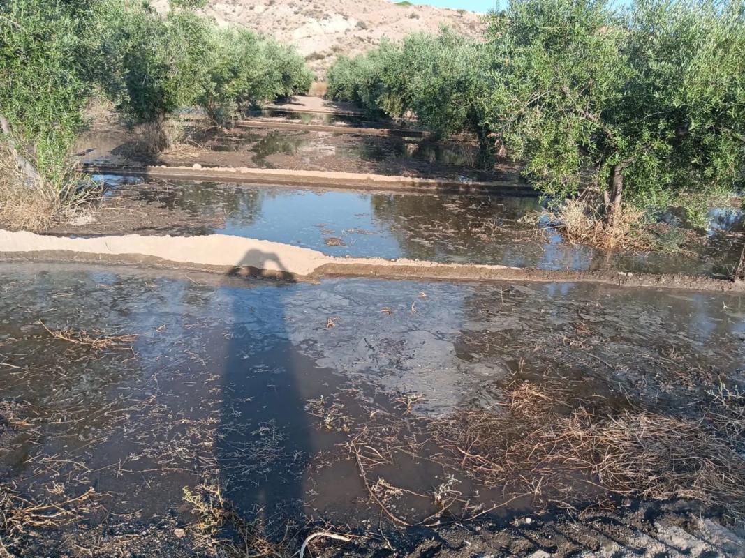 Terreno en venta en Albox, Almería photo 3