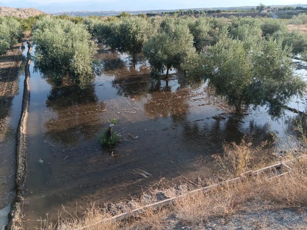 Terreno en venta en Albox, Almería photo 4