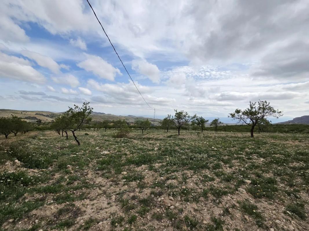 Terreno en venta en Albox, Almería photo 2