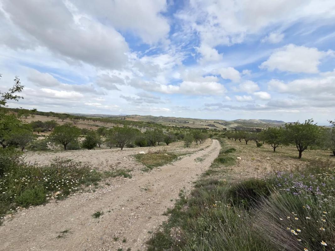 Terreno en venta en Albox, Almería photo 3