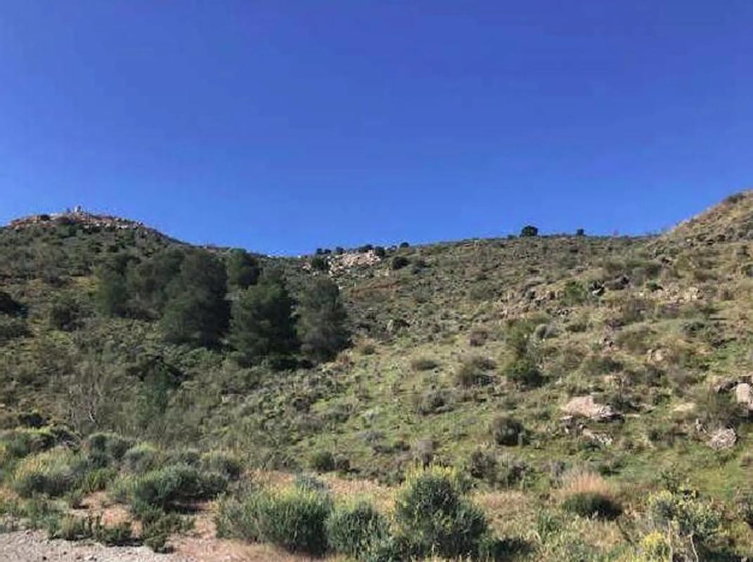 Terreno en venta en Purchena, Almería photo 4