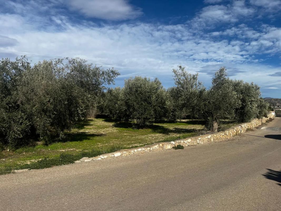Działka na sprzedaż w Arboleas, Almería photo 1