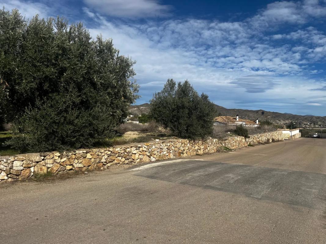 Działka na sprzedaż w Arboleas, Almería photo 5