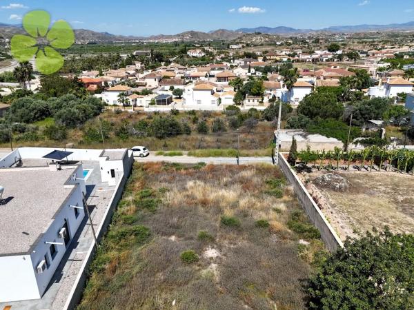 Terreno en Arboleas photo 3
