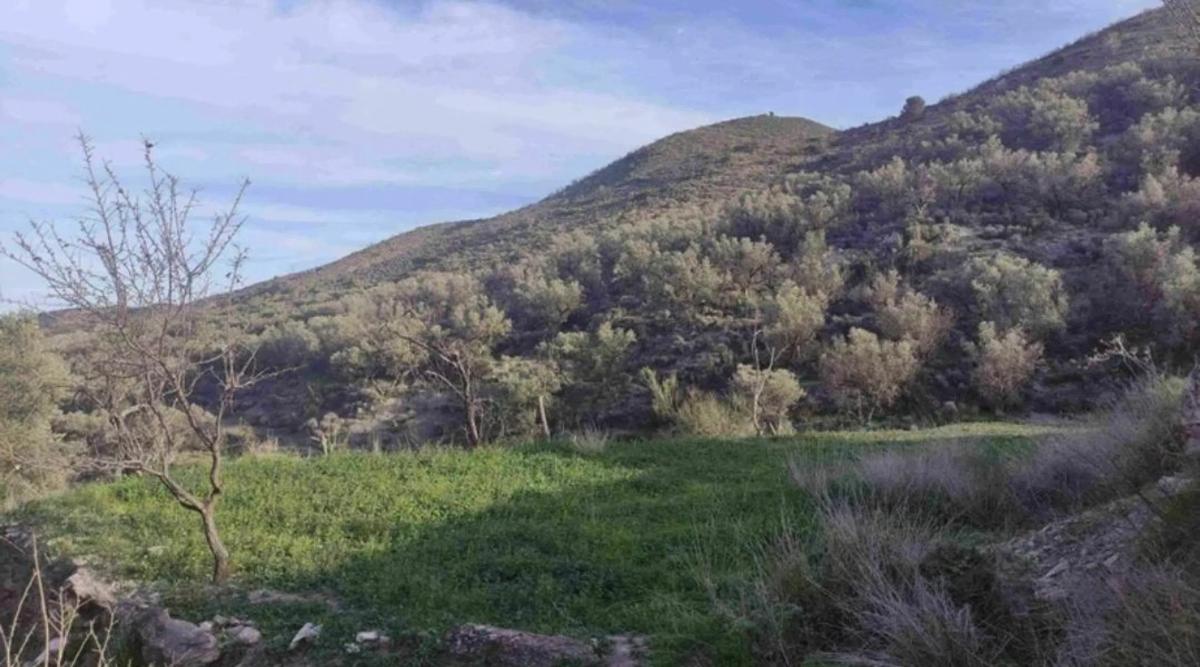 Land for sale in Sierro, Almería photo 1