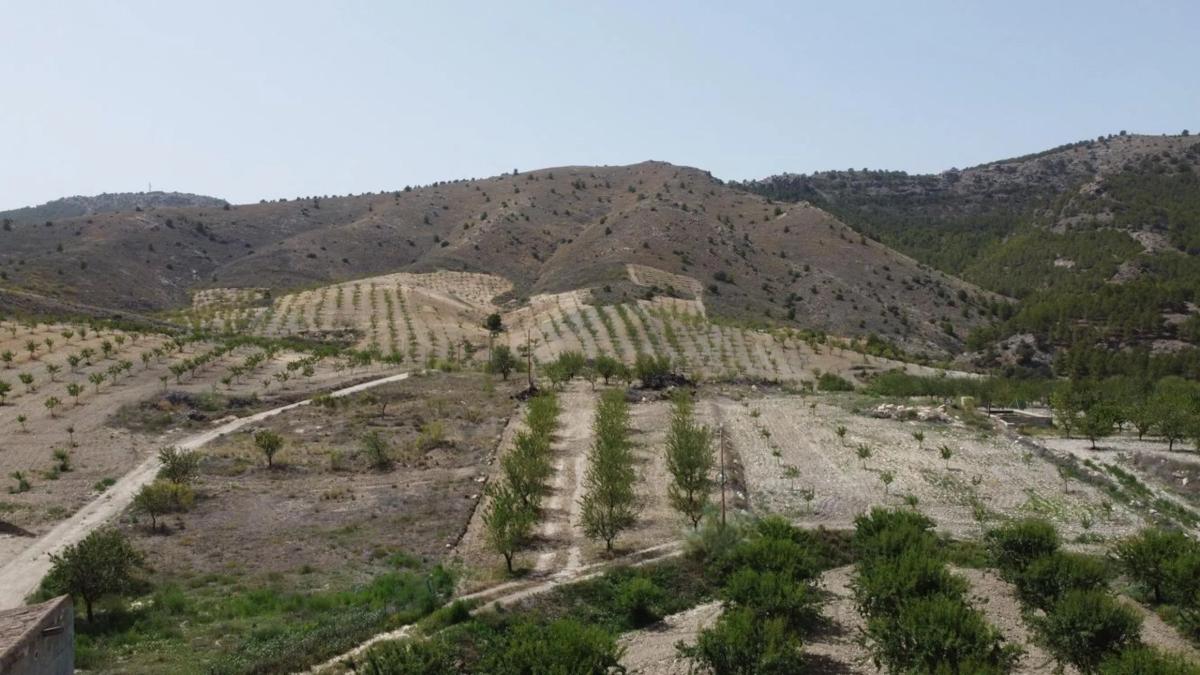 Land for sale in Oria, Almería photo 1