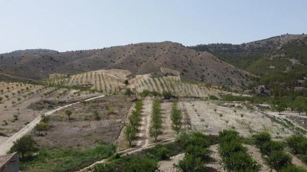 Terreno en Oria photo 1