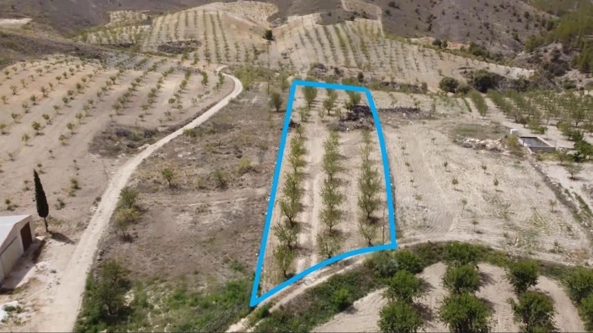 Land for sale in Oria, Almería photo 2
