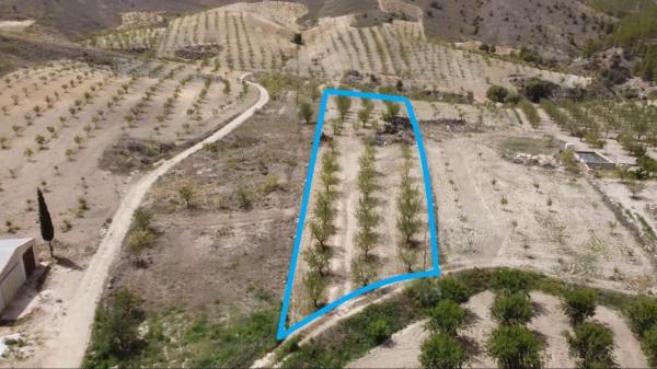 Terreno en Oria photo 2
